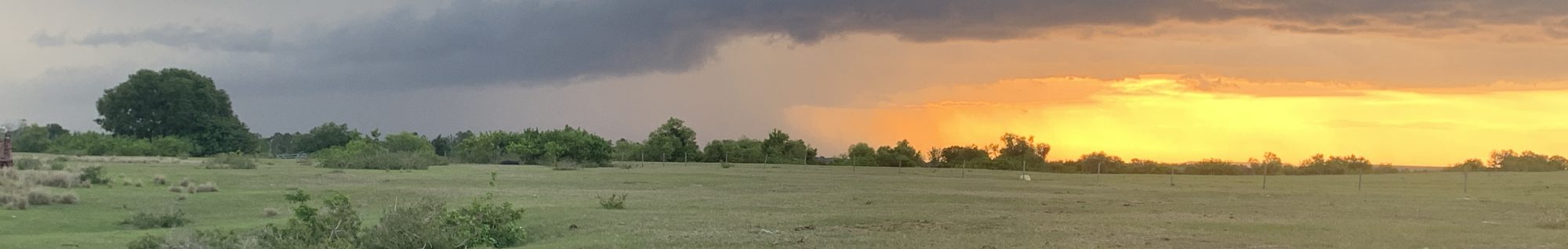 From the Rancher's Daughter's Desk